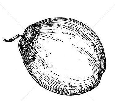 বাংলাদেশ কংগ্রেস দলের লোগো