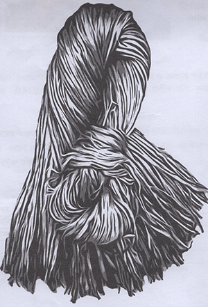 তৃণমূল বিএনপি দলের লোগো