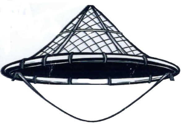 গণসংহতি আন্দোলন দলের লোগো