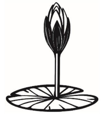 জাতীয় নাগরিক পার্টি-এনসিপি দলের লোগো