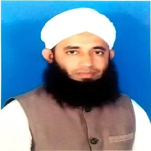 মাওলানা সুলতান মহিউদ্দিন